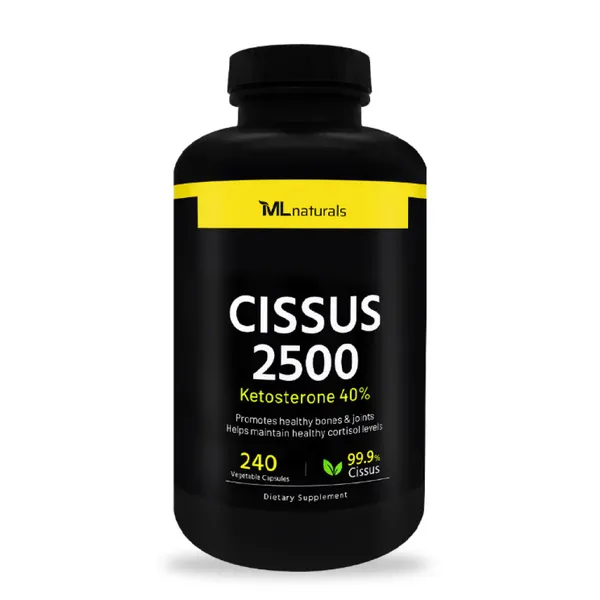 MyLife 시서스 2500